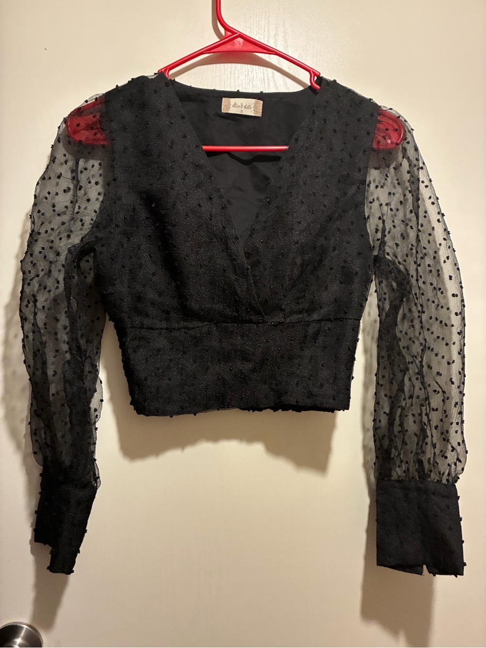 Altar'd State Black Textured V-Neck Crop Top with Sheer Dotted Sleeves